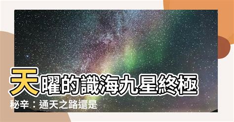 識海九星|佛學大辭典/識海